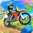 Crazy Bikes